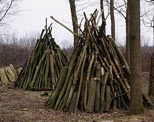 Gestapelde houtblokken in de tuin van Huisje in Escharen, Noord Brabant.