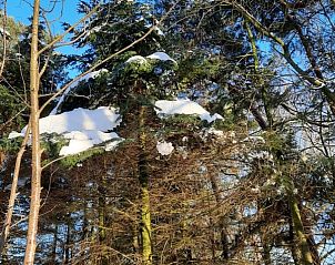 Verblijf 433814 - Bungalow Noordoost Brabant - Grove Den 