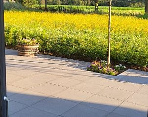 Uitzicht vanaf de veranda op de bloeiende tuin bij Huisje in Beers, vakantiehuis in Beers NB.