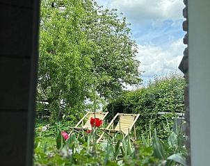 Uitzicht op tuin met ligstoelen vanuit Vakantiehuis in Beers, Noord Brabant.