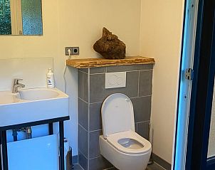 Stijlvolle badkamer in Vakantiehuis in Rucphen met toilet en wastafel in West Brabant.