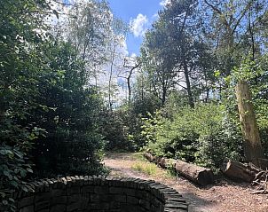 Zonnig bospad bij Vakantiehuis in Rucphen, omringd door groen in West Brabant.