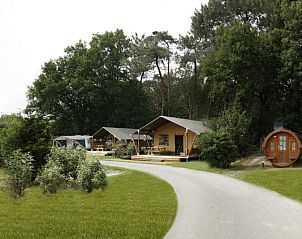 Verblijf 443604 - Tenthuis West Brabant - Safaritent
