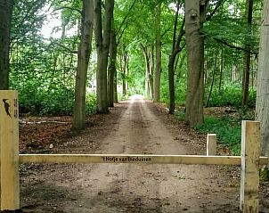 Bosrijke omgeving van Huisje in Putte, vakantiehuis in West Brabant, Noord Brabant.