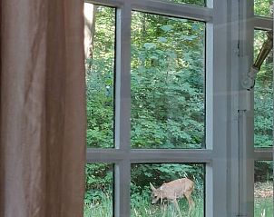 Uitzicht op natuur vanuit Huisje in Putte, vakantiehuis in West Brabant, Noord Brabant.
