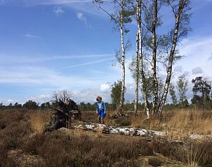 Prachtige natuur rond Huisje in Putte, vakantiehuis in West Brabant, Noord Brabant.