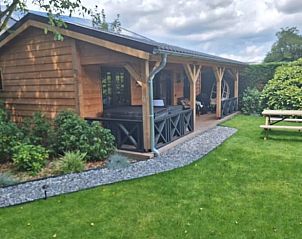 Verken de groene omgeving van Vakantiehuisje in Oudenbosch, West Brabant, met zijn uitnodigende terras.