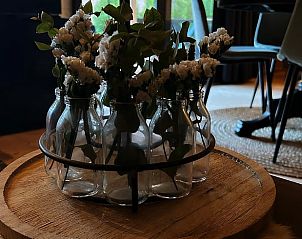 Decoratieve bloemen in de woonkamer van Vakantiehuisje in Oudenbosch, West Brabant, voor een frisse uitstraling.