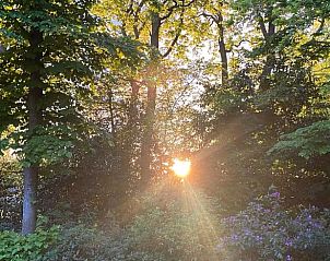 Zonsondergang door de bomen bij Vakantiehuisje in Teteringen, Noord Brabant.