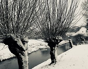 Unterkunft 461810 - Ferienhaus IJsselmeerkust - Vakantiehuis in Twisk