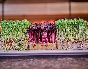 Unterkunft 46603301 - Appartement Bayern - Hotel am See