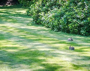 Guest house 4706503 - Apartment England - Claverton Hotel