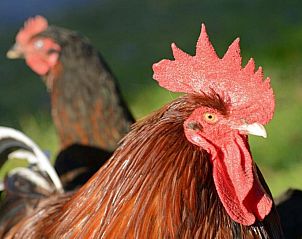 Verblijf 49503301 - Vakantie appartement Beieren - Hotel Moosleitner