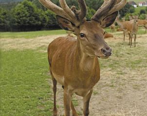 Unterkunft 5003301 - Appartement Bayern - Panorama-Hotel am See