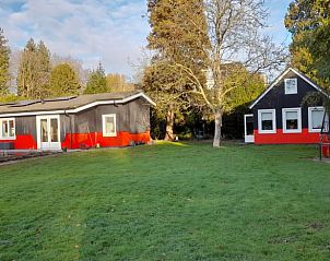 Ruim grasveld bij Vakantiehuisje in 's Graveland, omringd door natuur in Noord-Holland.