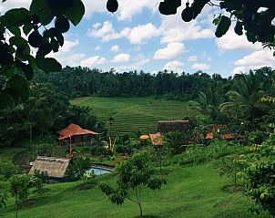 Guest house 5030103 • Bed and Breakfast Nusa Tenggara (Bali/Lombok) • Bali Lush 