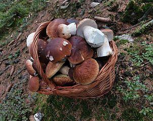 Guest house 5120842 - Holiday property West Bohemia - Hostinec U Pejska a Kocicky