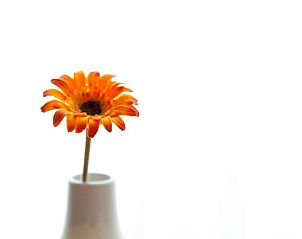 Verblijf 51721102 - Vakantie appartement Het groene Spanje - Hotel Miera