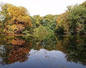 Verblijf 520204 - Vakantiewoning Twente - Hosta