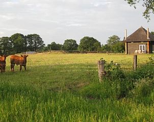 Guest house 520702 • Holiday property Twente • Vakantiehuis in Wierden 