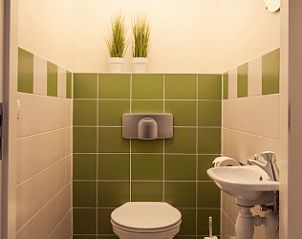 Stijlvolle badkamer in Hoeve Springendal appartement, Ootmarsum met groene accenten.