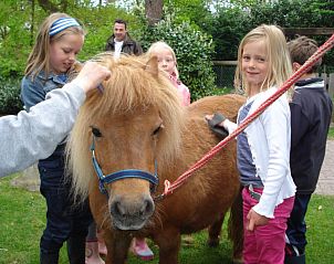 Kinderen genieten van ponyritjes bij Heeckeren vakantiehuis in Enter, Twente.