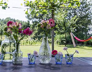 Gezellig terras met bloemen bij Heeckeren vakantiewoning, Enter, Twente.