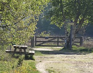 Pittoresk wandelpad nabij Huisje in Buurse, Twente, ideaal voor natuurliefhebbers die de omgeving willen verkennen.