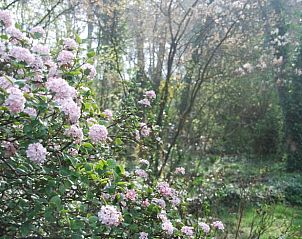 Verblijf 526308 - Vakantiewoning Twente - Vakantiehuisje in Boekelo gemeente Enschede