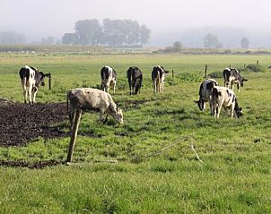 Guest house 530608 - Holiday property Salland - boerderijhuisje.nl