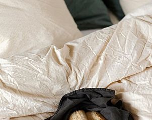 Guest house 531102 - Holiday property Salland - Vakantiehuis in Welsum