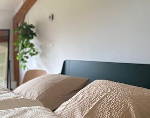 Guest house 531102 - Holiday property Salland - Vakantiehuis in Welsum