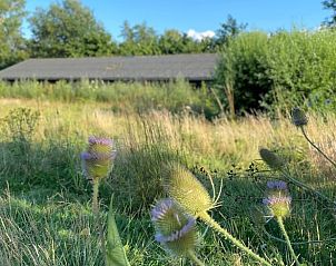 Guest house 531102 - Holiday property Salland - Vakantiehuis in Welsum