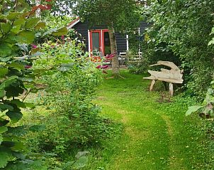 Guest house 531103 - Holiday property Salland - Huisje in Welsum