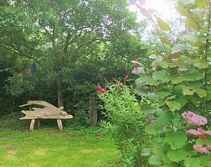 Guest house 531103 - Holiday property Salland - Huisje in Welsum