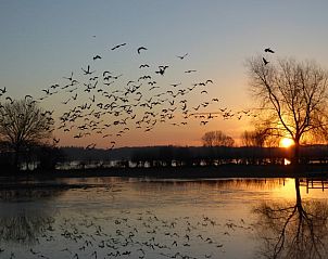 Guest house 531103 - Holiday property Salland - Huisje in Welsum