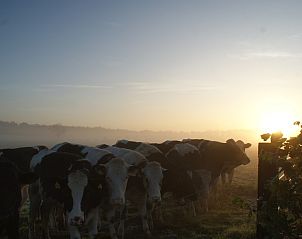 Guest house 540164 - Holiday property Vechtstreek - De Buizerd