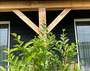 Guest house 540503 - Holiday property Vechtstreek - hof van lenthe