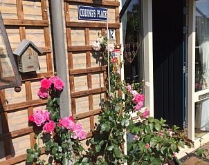 Guest house 540611 - Bed and Breakfast Vechtstreek - Oddingsplace