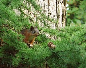 Guest house 541808 - Holiday property Vechtstreek - OV118