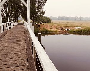 Aerial view of green fields surrounding cottage in Giethmen, Vecht region, Overijssel, with vast forests in the background.