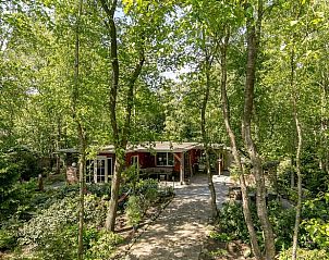 Guest house 542513 - Holiday property Vechtstreek - Vakantiehuis in Bergentheim