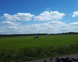 Guest house 542513 - Holiday property Vechtstreek - Vakantiehuis in Bergentheim