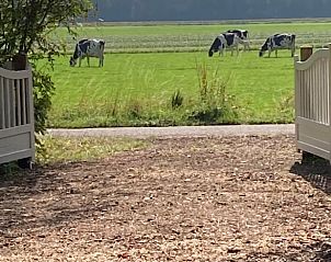 Guest house 542513 - Holiday property Vechtstreek - Vakantiehuis in Bergentheim