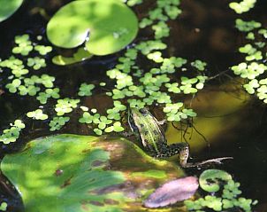 Guest house 542514 - Holiday property Vechtstreek - Huisje in Bergentheim