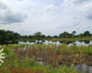 Guest house 543002 - Holiday property Vechtstreek - OV636