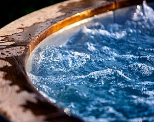 Guest house 543301 - Holiday property Vechtstreek - Vakantiehuis in Hoonhorst