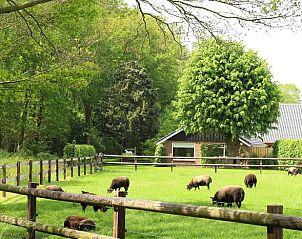 Guest house 543405 - Holiday property Vechtstreek - Vakantiehuisje in Lemelerveld