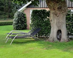 Guest house 543405 - Holiday property Vechtstreek - Vakantiehuisje in Lemelerveld