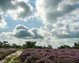 Guest house 543405 - Holiday property Vechtstreek - Vakantiehuisje in Lemelerveld